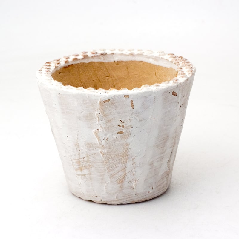 多肉植物の欲しがる植木鉢 SMS-（2.5号相当） 24個セット | design