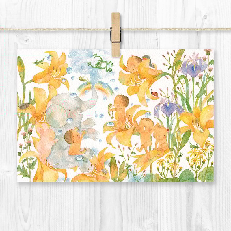 水彩紙のポストカード はだかんぼ／ニッコウキスゲ P-0368 | こばやし