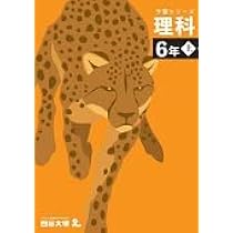 予習シリーズ 国語 6年上 四谷大塚 【オリジナルボールペン付き】解答