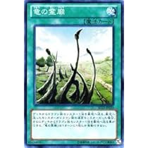 Amazon.co.jp: 遊戯王カード 竜の霊廟 青眼龍轟臨(SD25)収録 /SD25