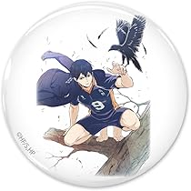Amazon.co.jp: 【公式】コスパ ハイキュー!! 日向翔陽 65mm缶バッジ