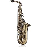 Amazon | Eastar アルトサックス E Saxophone ゴールドラッカー