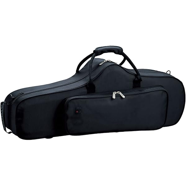 Amazon.co.jp: PLAYTECH (プレイテック) テナーサックスケース