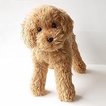 Amazon.co.jp: ニニアンドキノ ぬいぐるみ 犬 リアル トイプードル