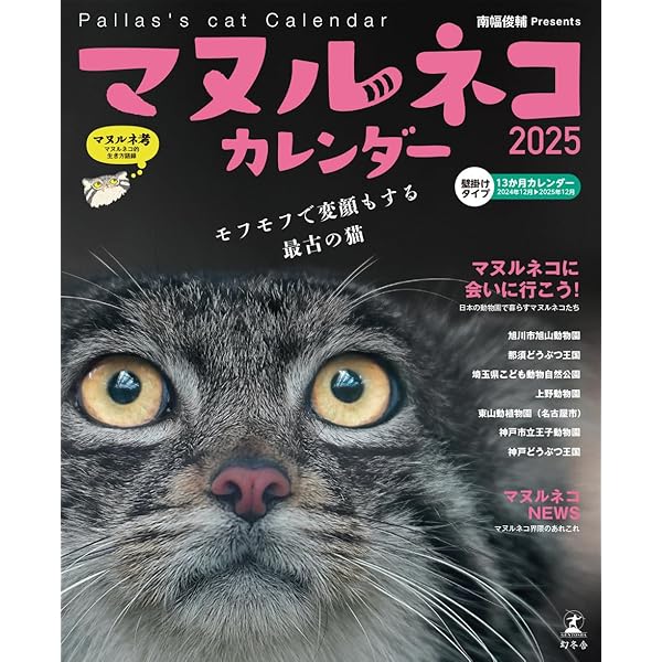 Amazon.co.jp: マヌルネコ : ネイチャー&サイエンス編, 今泉 忠明