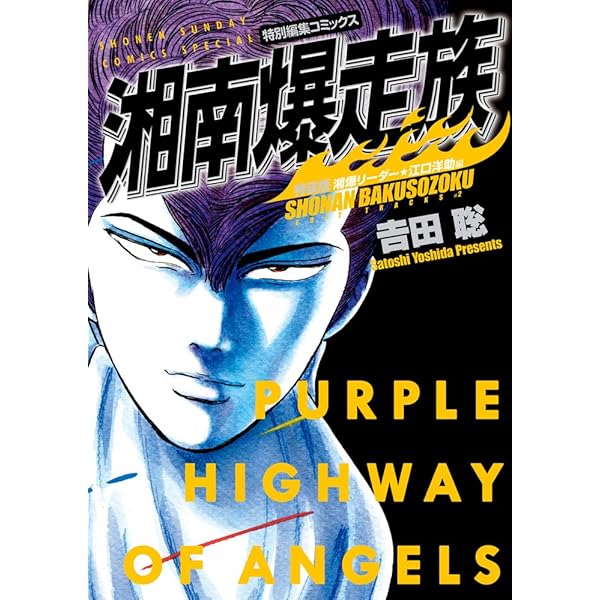 湘南爆走族 桜井信二&原沢良美編(特装版) (少年サンデーコミックス