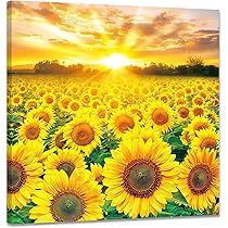 817vsi0istL._AC_UL210_SR210,