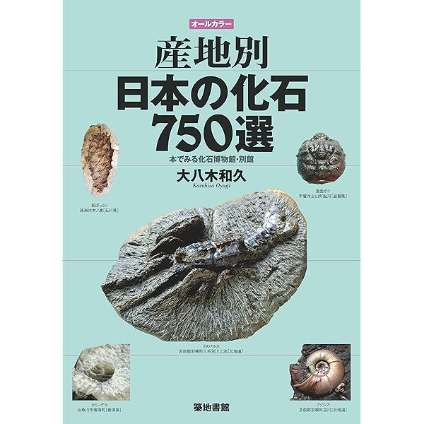 産地別日本の化石650選: オールカラー 本でみる化石博物館・新館