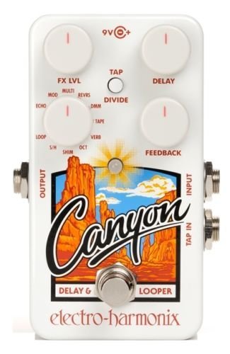 Electro Harmonix Grand Canyon - 多機能ディレイ「Canyon」をさらに