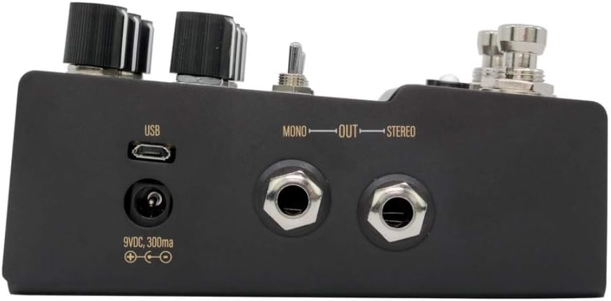 Walrus Audio R1 High Fidelity Stereo Reverb - 6種類のプロ