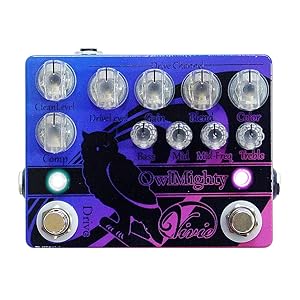 BOSS FBM-1 Bassman - 「フェンダー'59ベースマン」の太く透明感のある