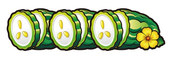 ゆき 無段階 スロット ゴーヤチャンプル30 不要機 ゆき 無段階