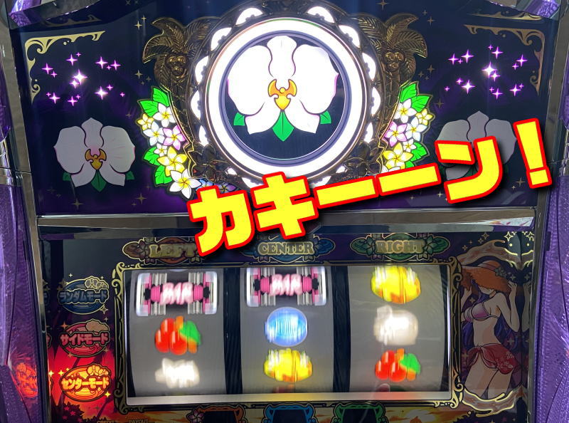 マイフラワー2 スロット プレミアム演出 ランプの光り方 モード示唆演出