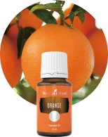 ヤングアバンダンス 15ml | ヤング・リヴィング精油 | Young Living