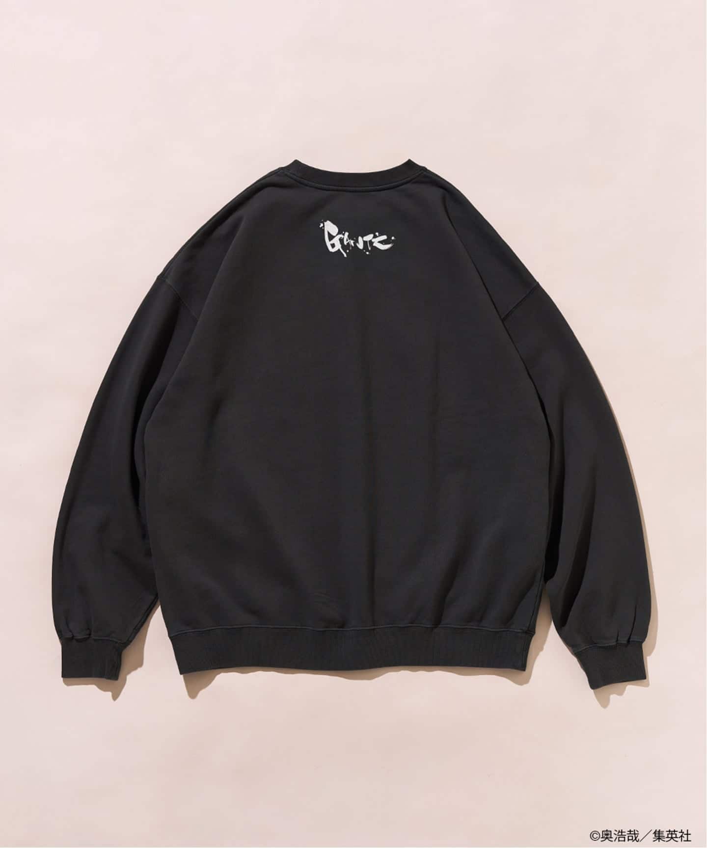 GANTZ / ガンツ 417別注 COLORWORKS スウェット（スウェット）｜417