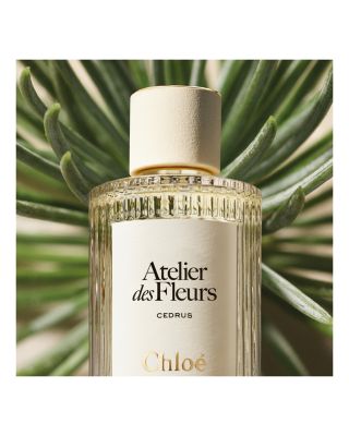 Chloé Atelier des Fleurs Cedrus Eau de Parfum & Body Lotion Gift