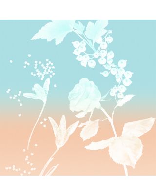 Tiffany & Co. Rose Gold Eau de Parfum Gift Set ($228 value