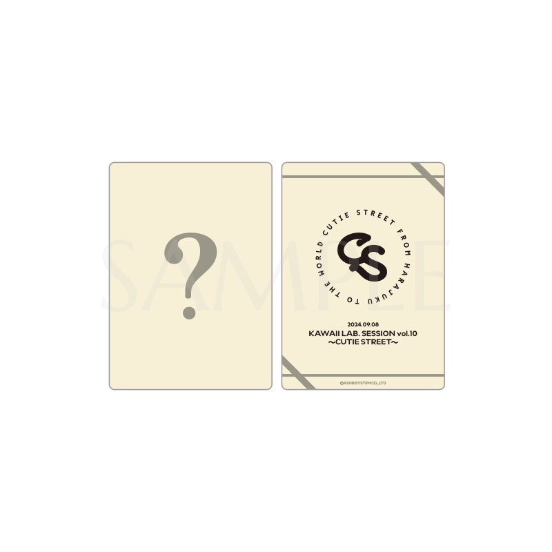 ランダムトレーディングカード（各メンバー2種＋集合1種 全17種