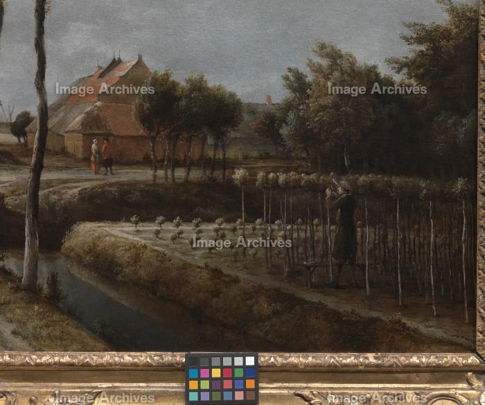 作品詳細 | ミッデルハルニスの並木道(部分) | イメージアーカイブ