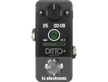 TC Electronic Ditto Looper Limited Edition Gold - What To Know