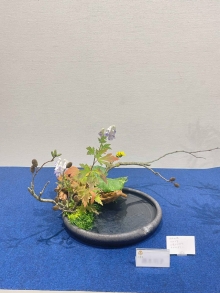 水盤に生けた作品 - 青森経済新聞