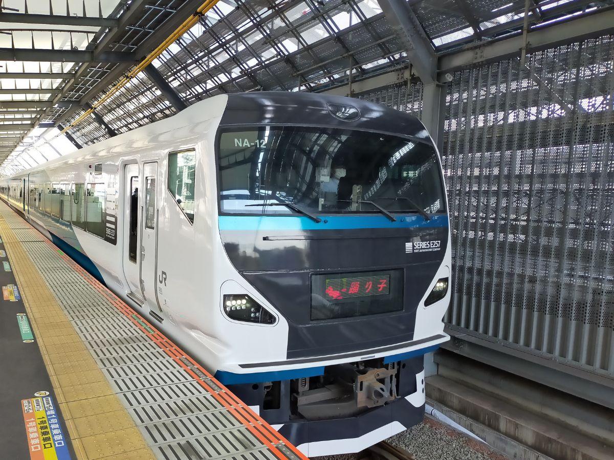 伊豆急、踊り子「ちょこ乗り特急券」発売 河津～下田間を200円で