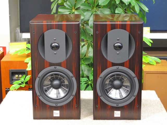 HAYDN GRAND SYMPHONY EDITION Vienna Acoustics - 中古オーディオ