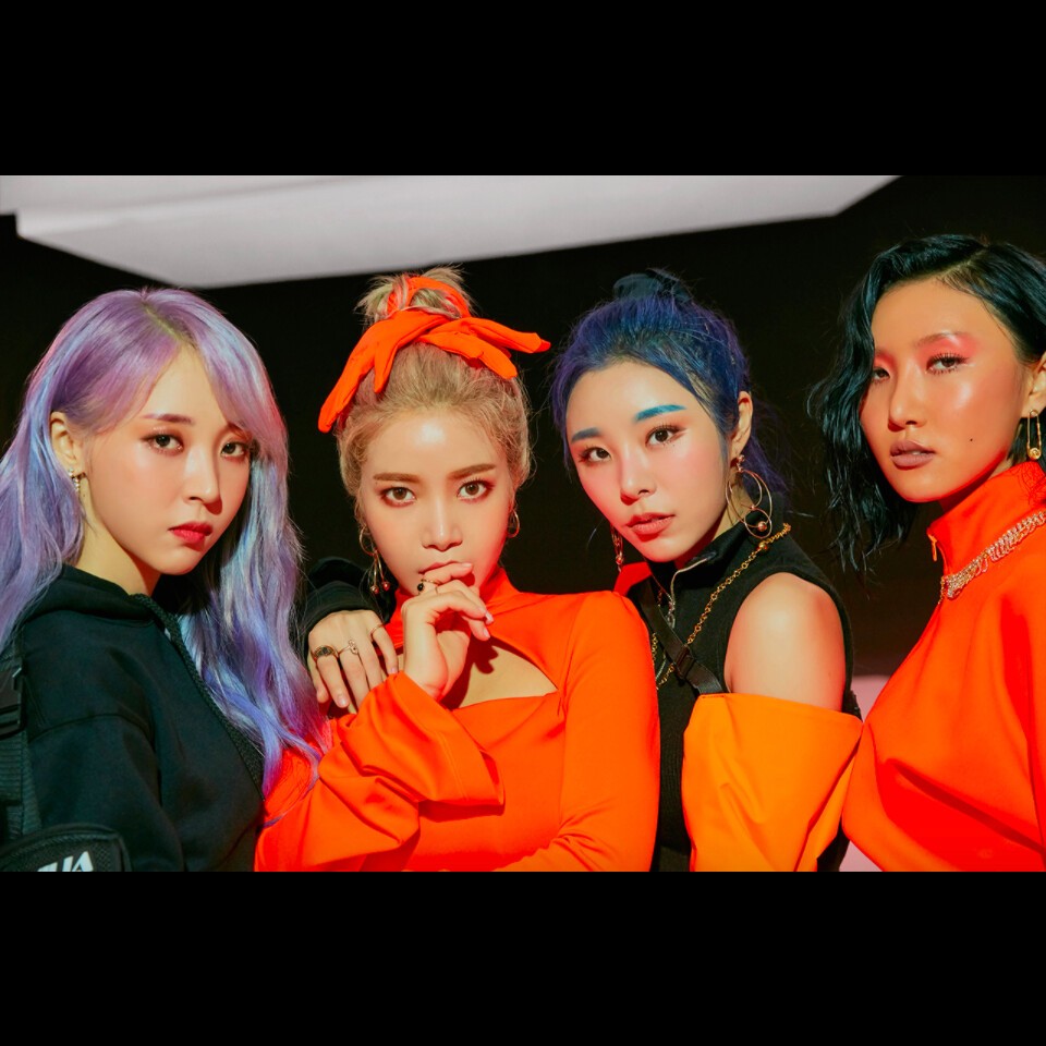 iFLYER: MAMAMOO [ママム] / インフォ - LIVE