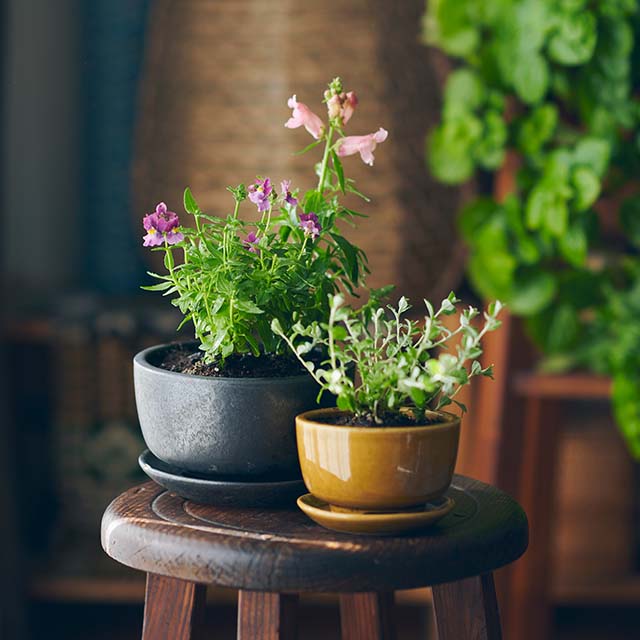 信楽丸鉢 3号｜園芸｜中川政七商店 公式サイト