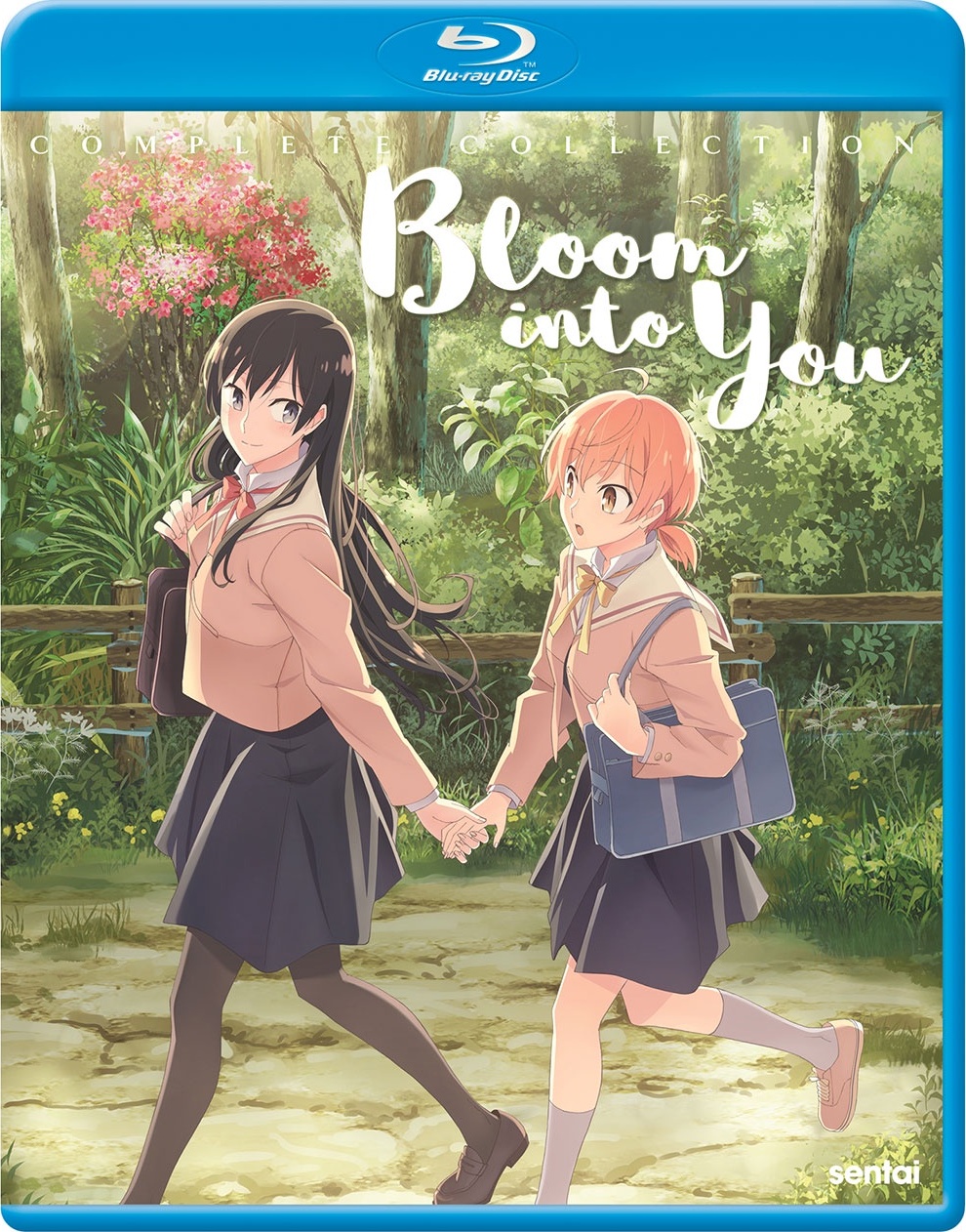 Bloom Into You: Complete Collection Blu-ray (やがて君になる)