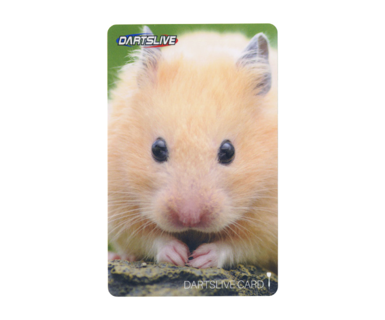ダーツゲームカード【ダーツライブ】NO.1534 ゴールデンハムスター