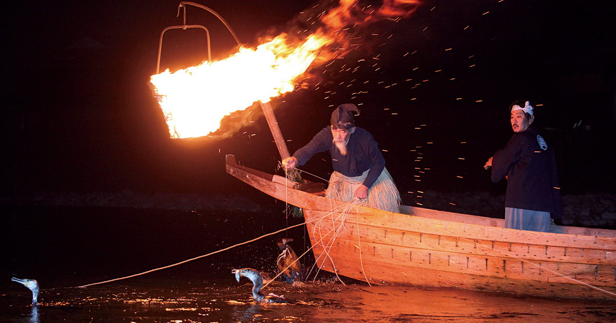 篝火に照らされる、鵜匠と鵜の絆【残したい日本の音風景・5月】文