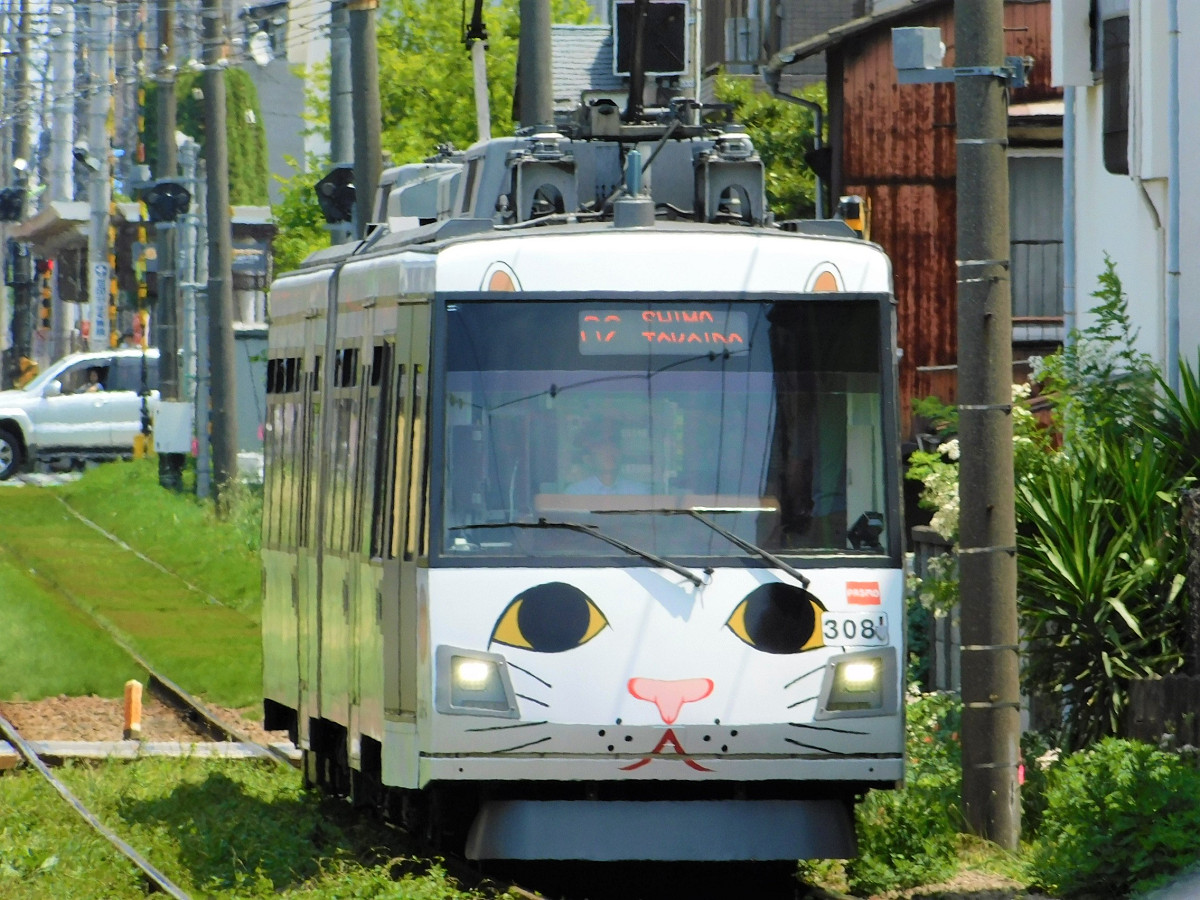 東急の「幸福の招き猫電車」 再登場の背景とは - 鉄道コム