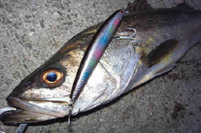 ラブラックスの全シリーズを一気にチェック！最適なモデルを探そう