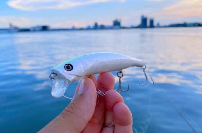 ぼくの超1軍ルアー「悟空バズーカ」をインプレ！必ずボックスに入れて