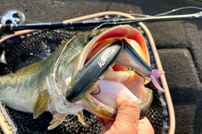 本当は教えたくないクラッシュ9の最強メソッド【プロガイド直伝