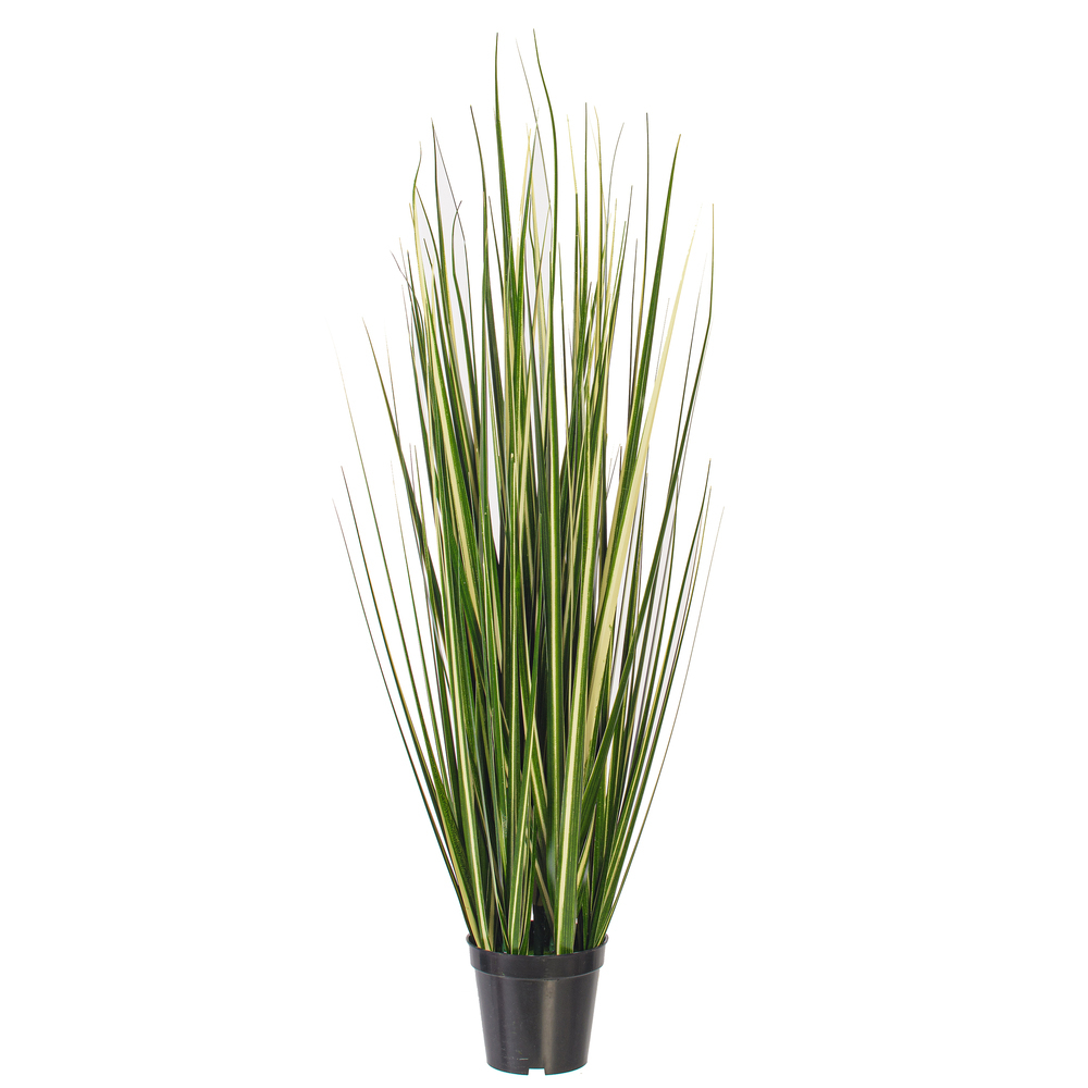TN251136UV - TN25113 Everyday Grass | Vickerman