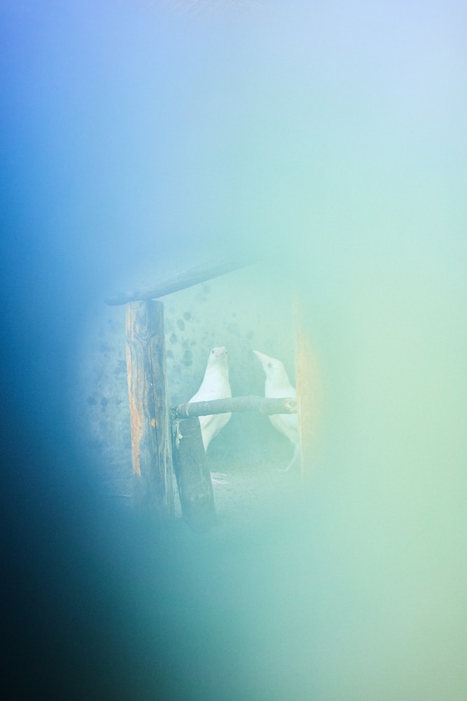 竹之内祐幸 | IMAGRAPHY | IMA ONLINE