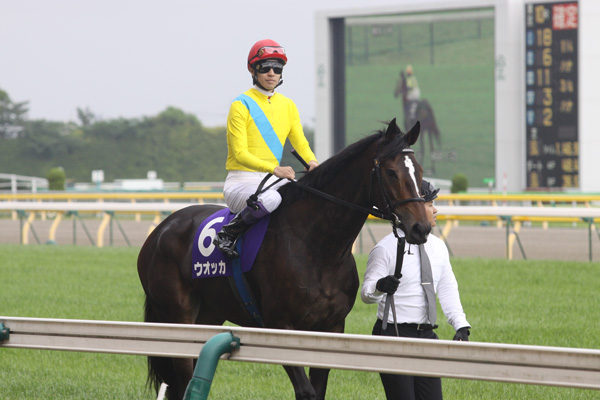 ウオッカ圧勝！ ヴィクトリアマイル | akatsukamorio blog