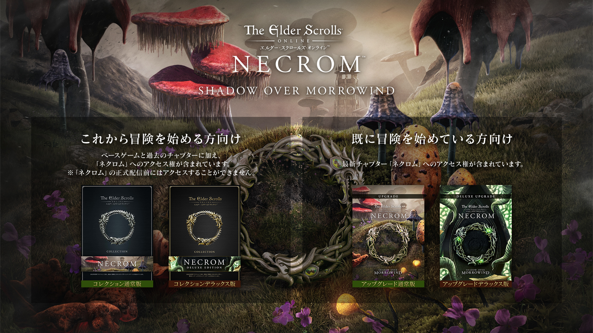 エルダー・スクロールズ・オンライン：商品紹介 - TESO／ESO～エルダー