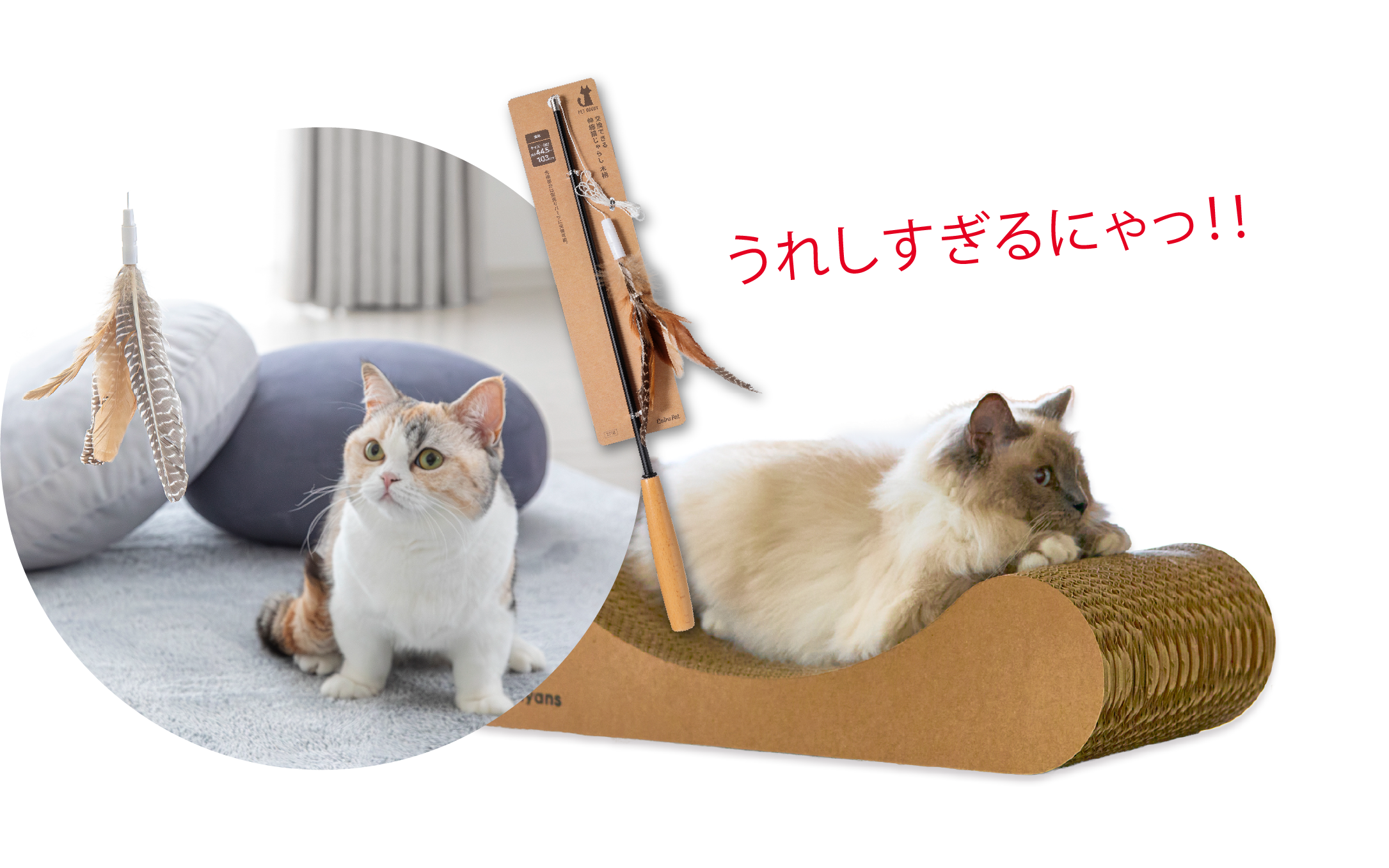 カインズにゃん祭り2026