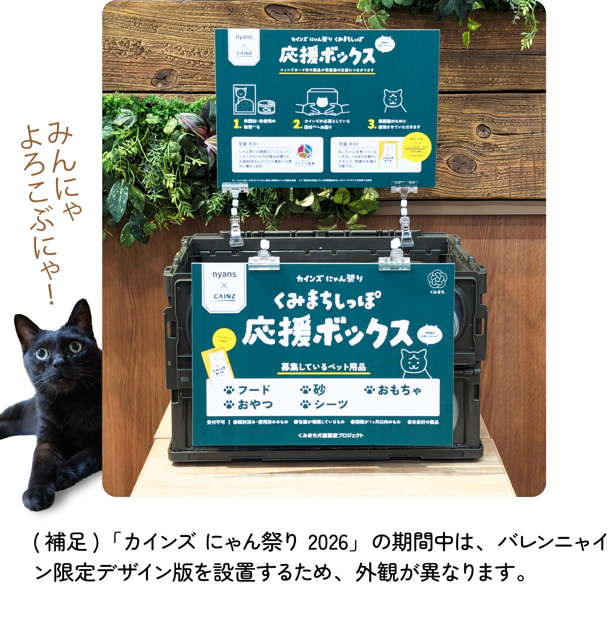 カインズにゃん祭り2026