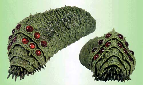 メモリアル・プレミアムコレクション 風の谷のナウシカ オーム/王蟲