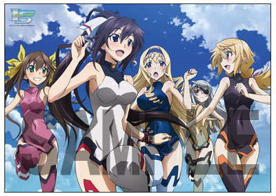 IS〈インフィニット・ストラトス〉 特大マイクロファイバータオル(B0