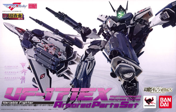 DX超合金 マクロスF VF-171EXナイトメアプラスEX(マルヤマ機