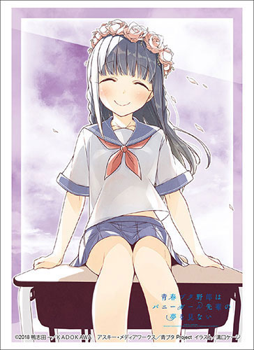 ブシロードスリーブコレクションハイグレード 青春ブタ野郎はバニー