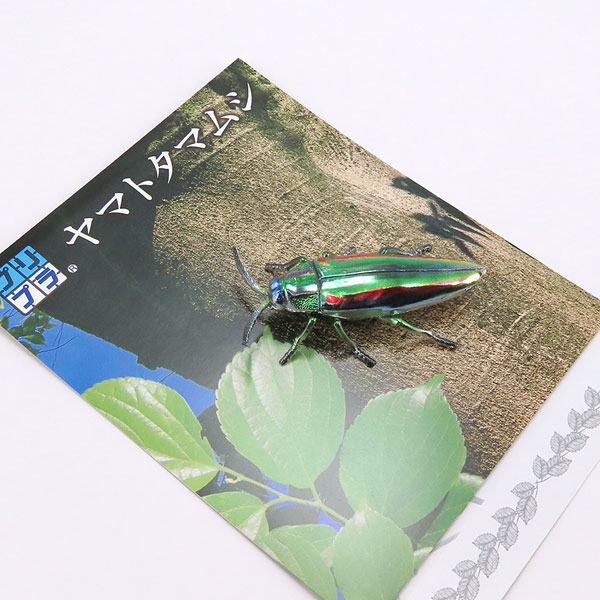 プリプラ ヤマトタマムシ プラスチックモデル[ディーアイジー]《在庫切れ》