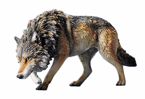 1/6 ハイイロオオカミ A[JXKスタジオ]《在庫切れ》