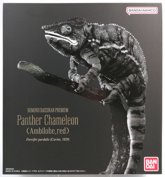 いきもの大図鑑プレミアム パンサーカメレオン(アンビローブ・レッド