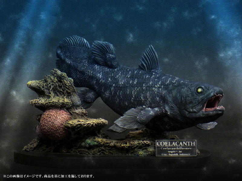 Wonder of wild series シーラカンス 完成品フィギュア[エクスプラス